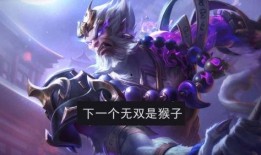 王者最新皮肤爆料有几个无双,无双皮肤系列全新爆料，神秘英雄即将登场