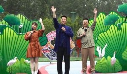 绿地物业爆料事件视频最新,真相揭露，业主权益再引关注