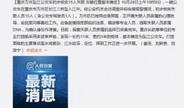 最新重庆爆料视频,街头奇闻异事引热议