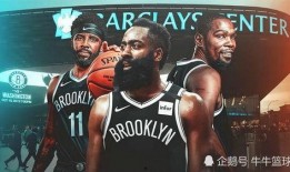 交易哈登爆料视频最新版,交易传闻背后的真相与内幕