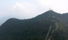 莲花山最新爆料,揭秘神秘事件背后的真相