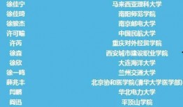 南阳迷笛爆料案件最新,揭秘迷笛音乐节突发事件的背后真相