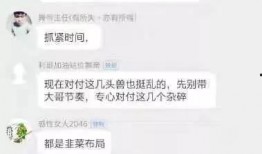 爆料老利视频大全最新,热门爆料尽收眼底