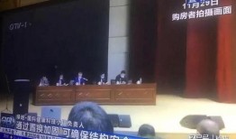 青岛卫视最新爆料,揭秘青岛重大事件背后真相